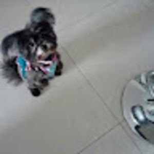 Meet your Posher, Gamar